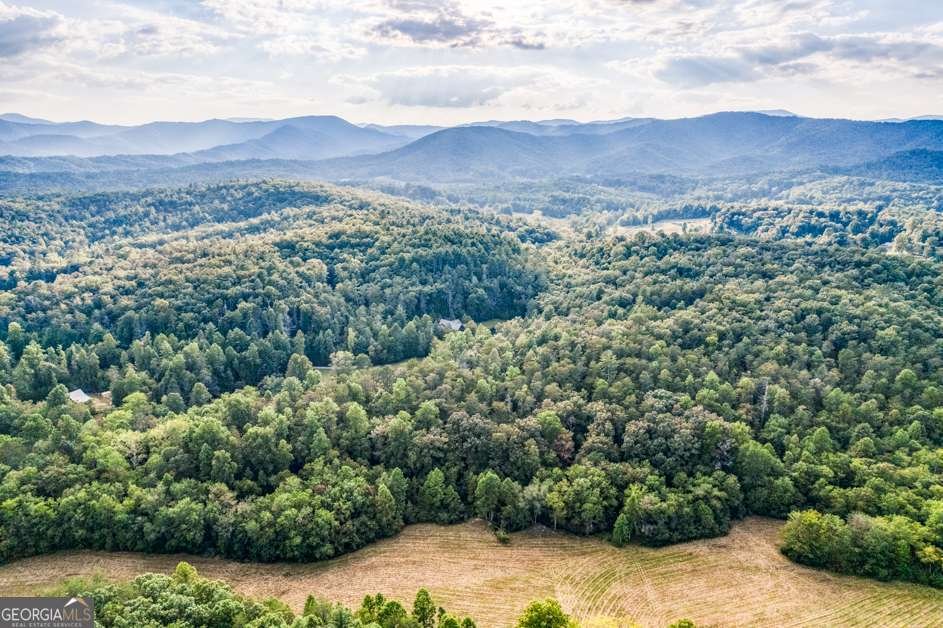 5664 Mobile Road Blue Ridge - Photo 49