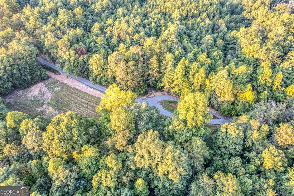 5664 Mobile Road Blue Ridge - Photo 52