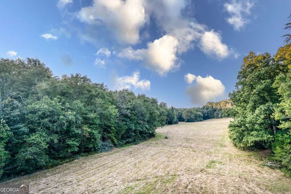 5664 Mobile Road Blue Ridge - Photo 53
