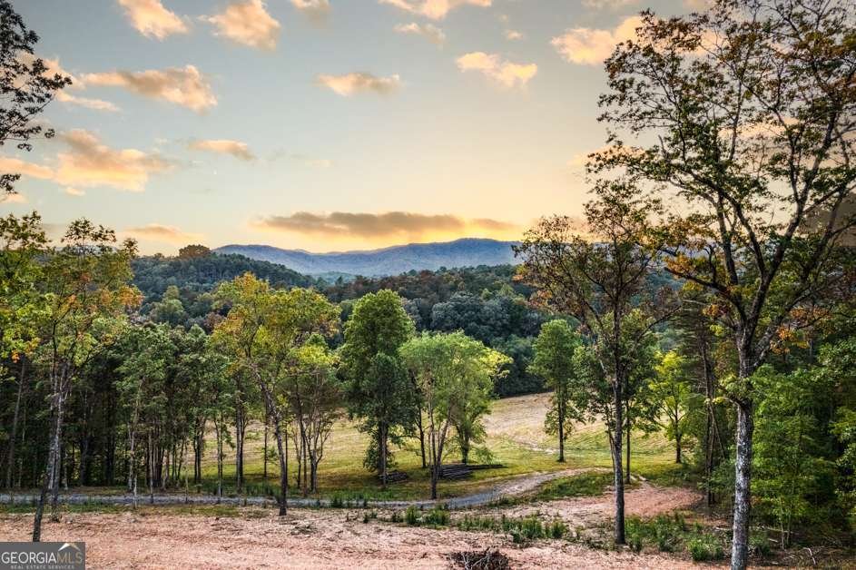 5664 Mobile Road Blue Ridge - Photo 54