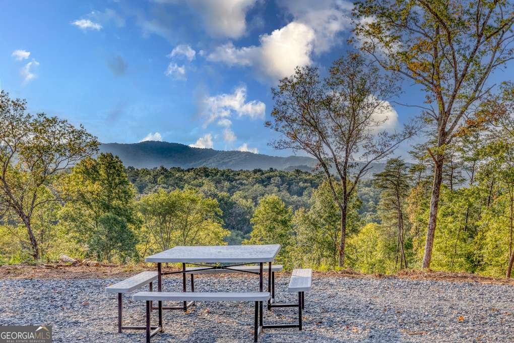 5664 Mobile Road Blue Ridge - Photo 56