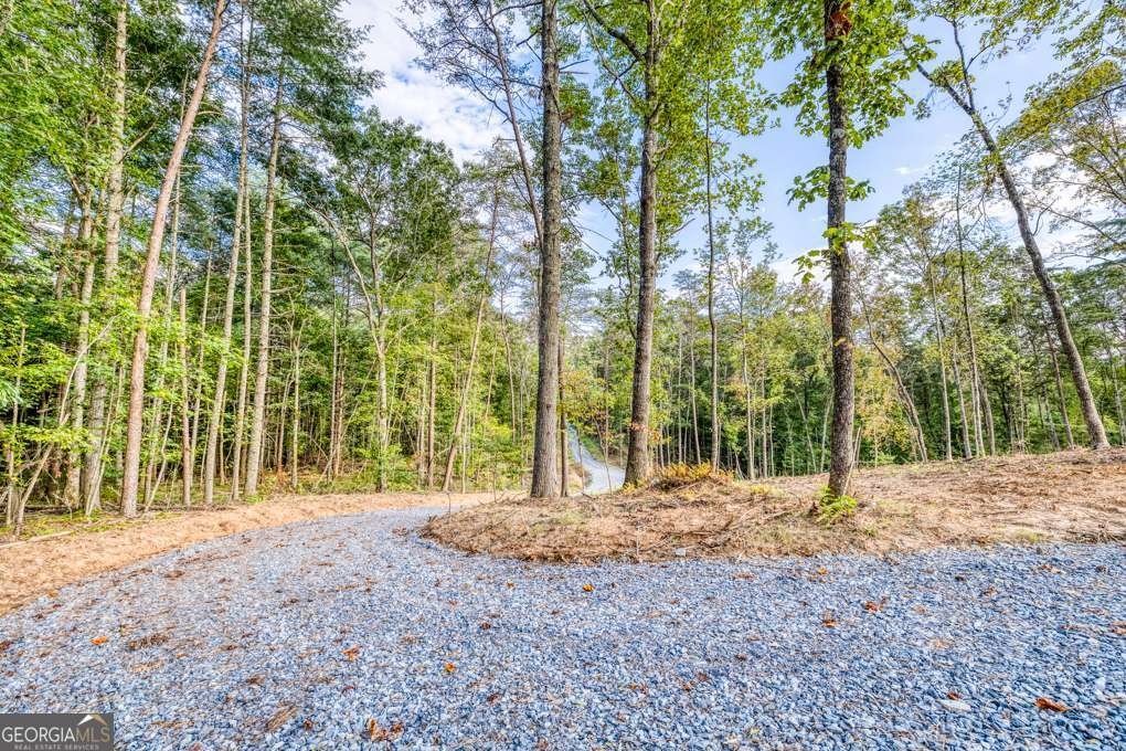 5664 Mobile Road Blue Ridge - Photo 57