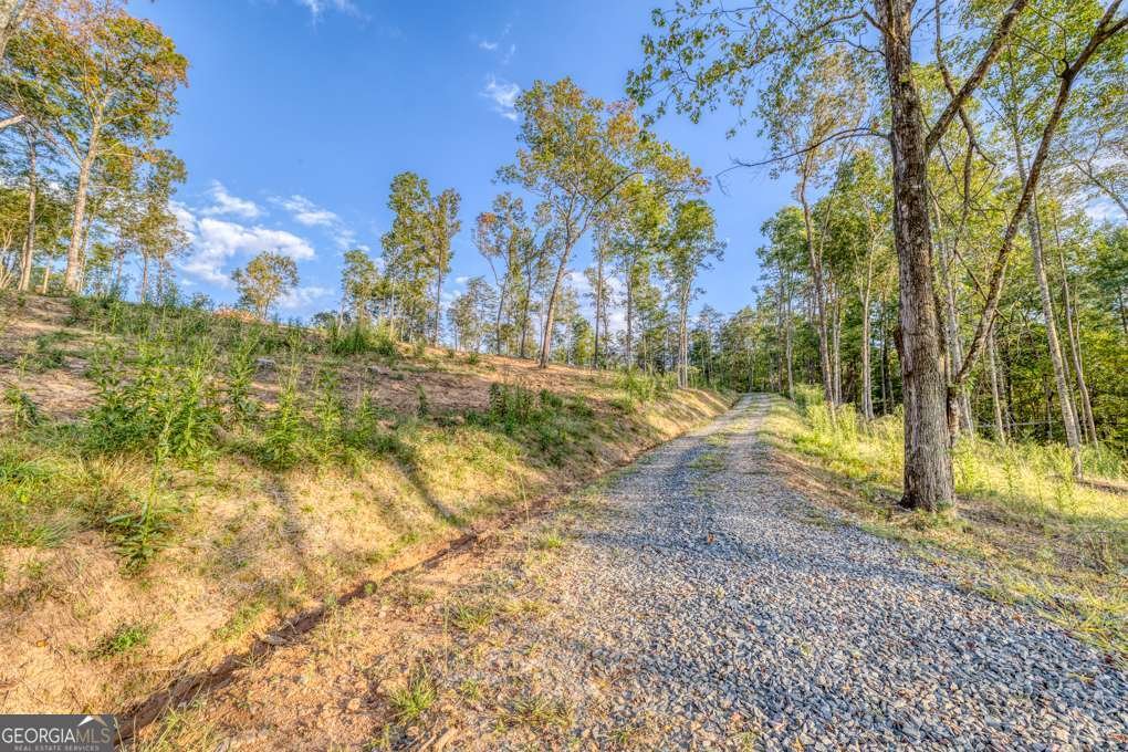 5664 Mobile Road Blue Ridge - Photo 58
