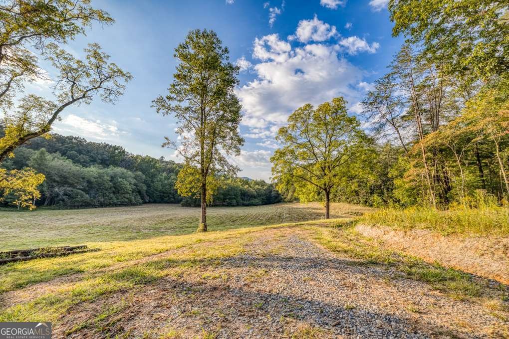 5664 Mobile Road Blue Ridge - Photo 59