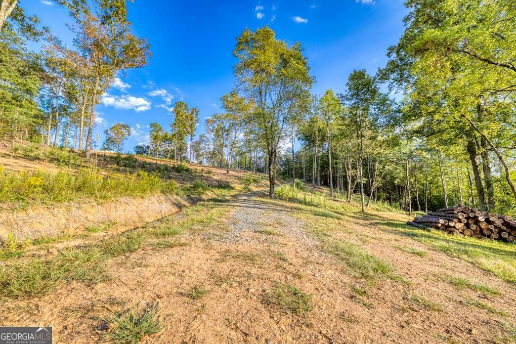 5664 Mobile Road Blue Ridge - Photo 60