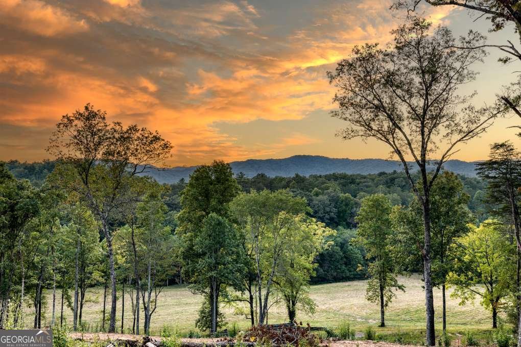 5664 Mobile Road Blue Ridge - Photo 61