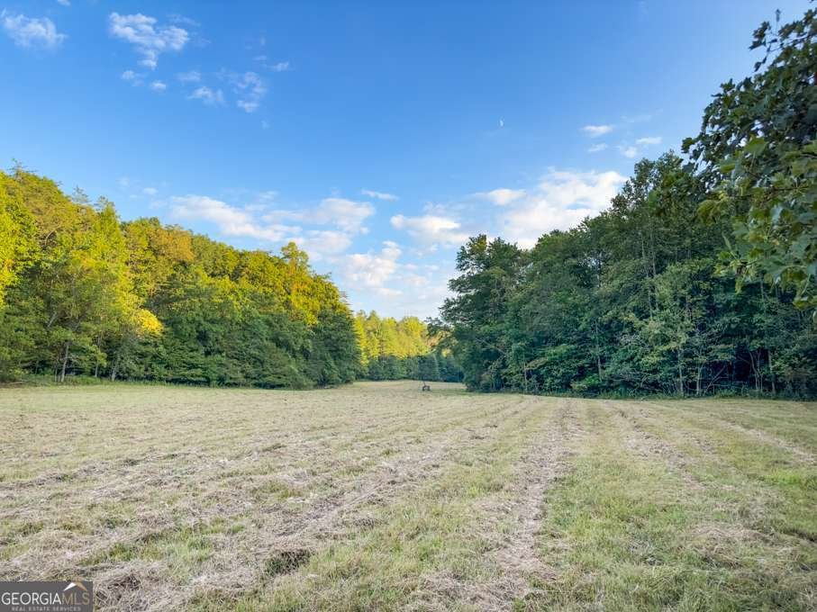 5664 Mobile Road Blue Ridge - Photo 64