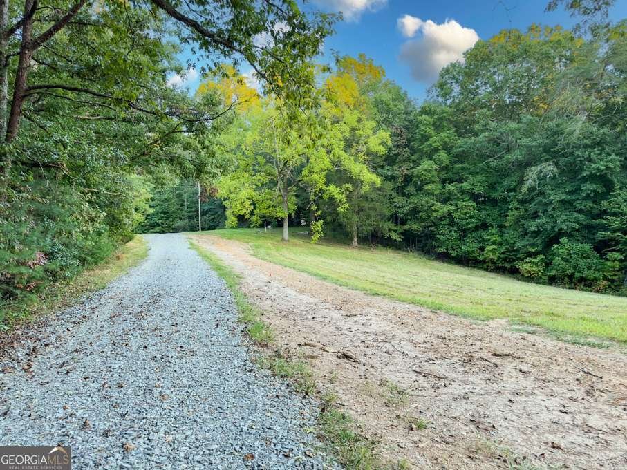 5664 Mobile Road Blue Ridge - Photo 65