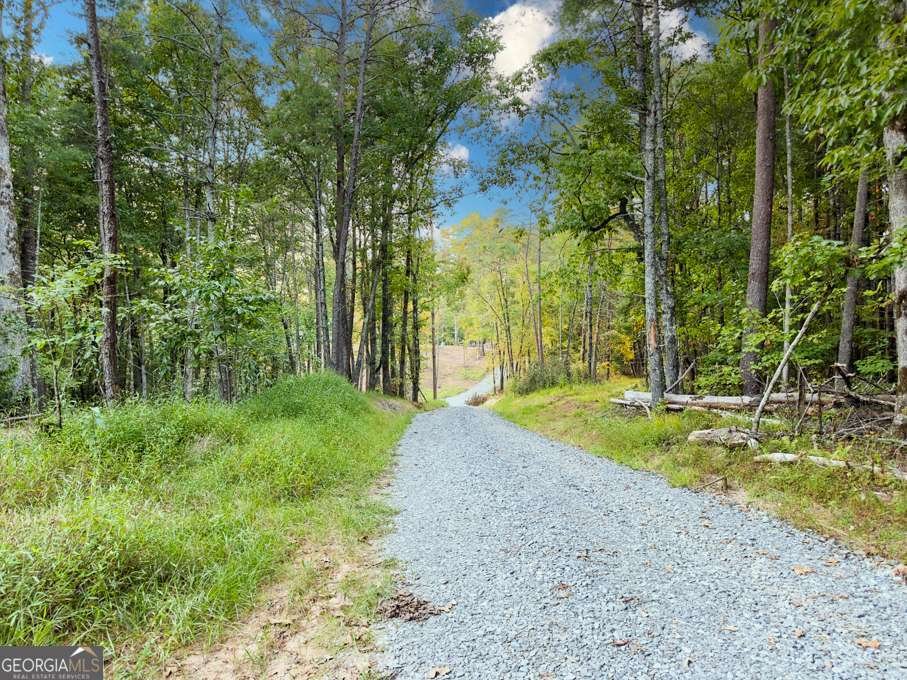 5664 Mobile Road Blue Ridge - Photo 66