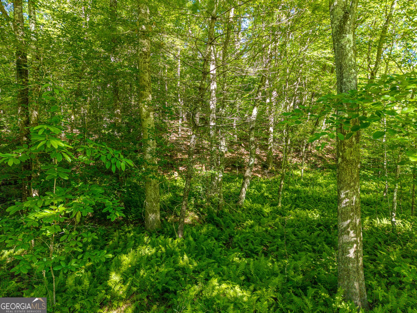 5664 Mobile Road Blue Ridge - Photo 68