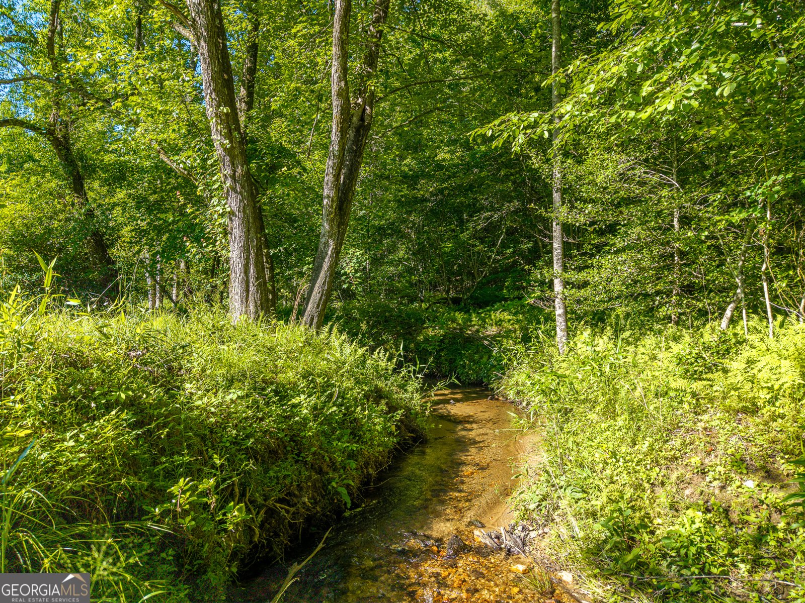 5664 Mobile Road Blue Ridge - Photo 70