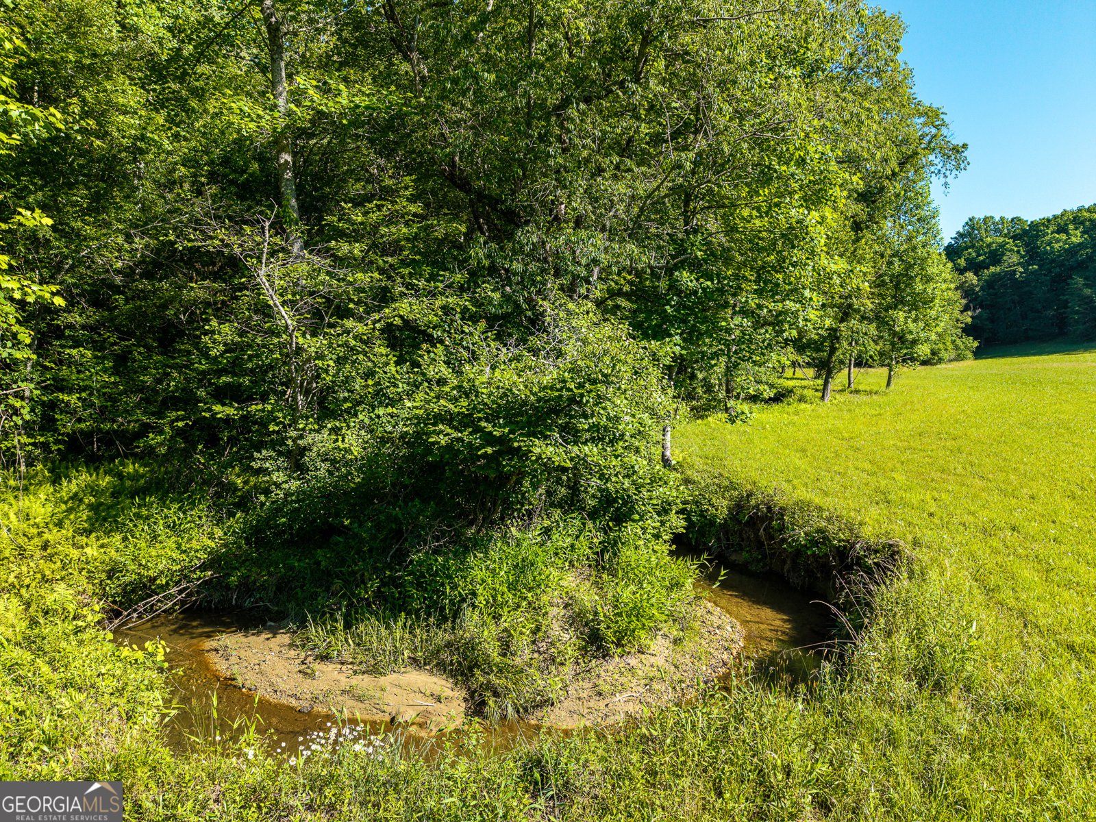 5664 Mobile Road Blue Ridge - Photo 71