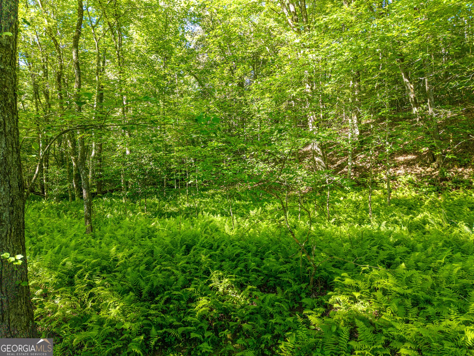5664 Mobile Road Blue Ridge - Photo 74