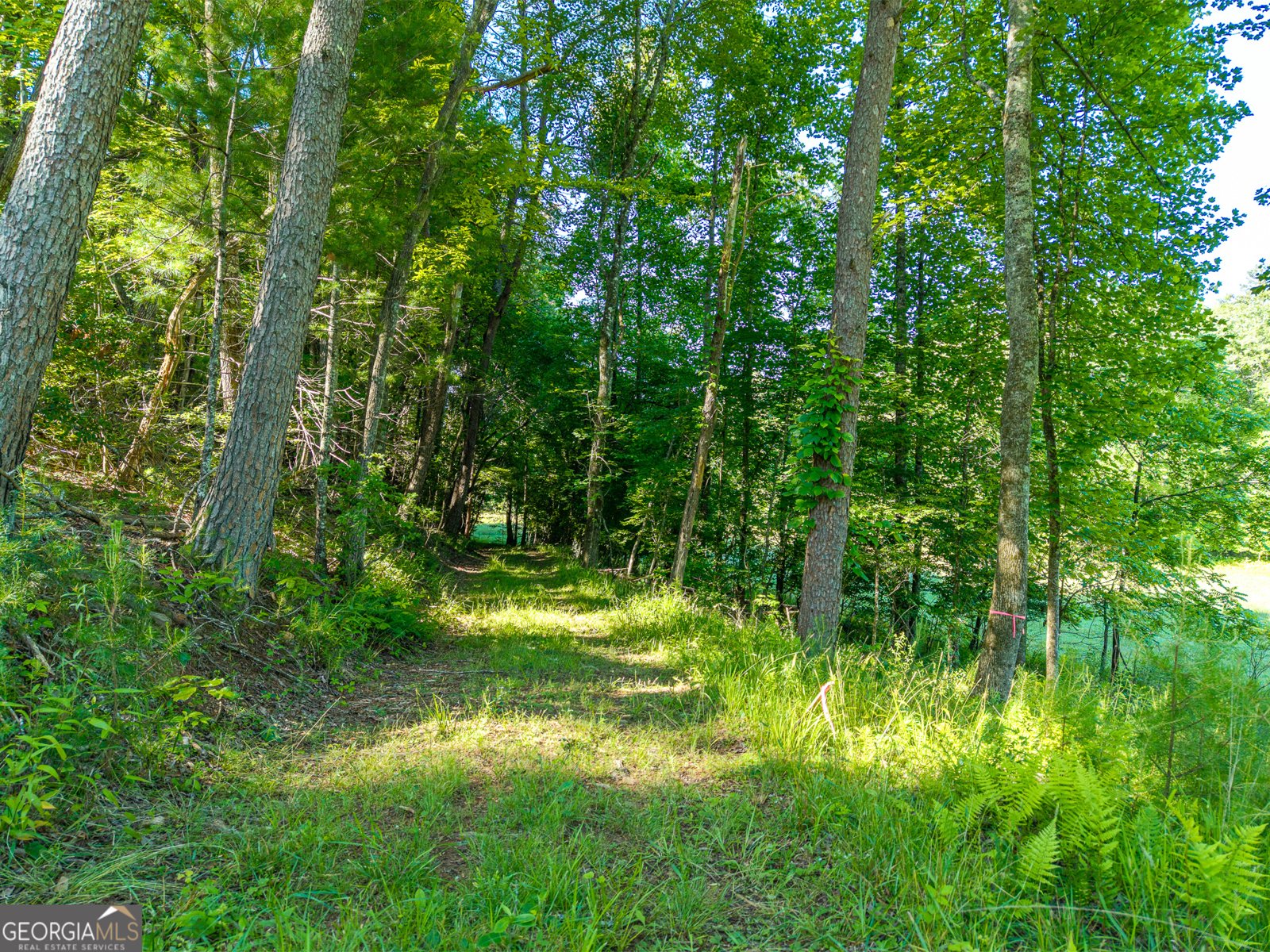 5664 Mobile Road Blue Ridge - Photo 75