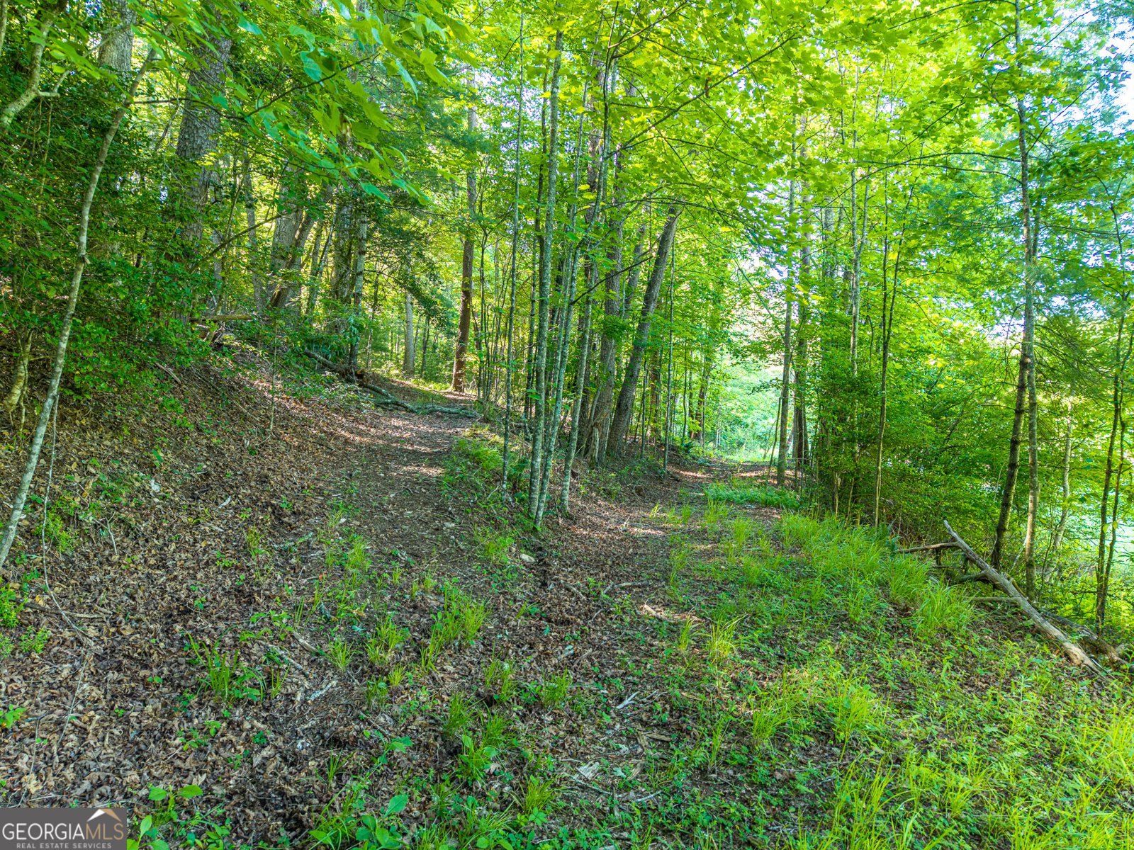 5664 Mobile Road Blue Ridge - Photo 76