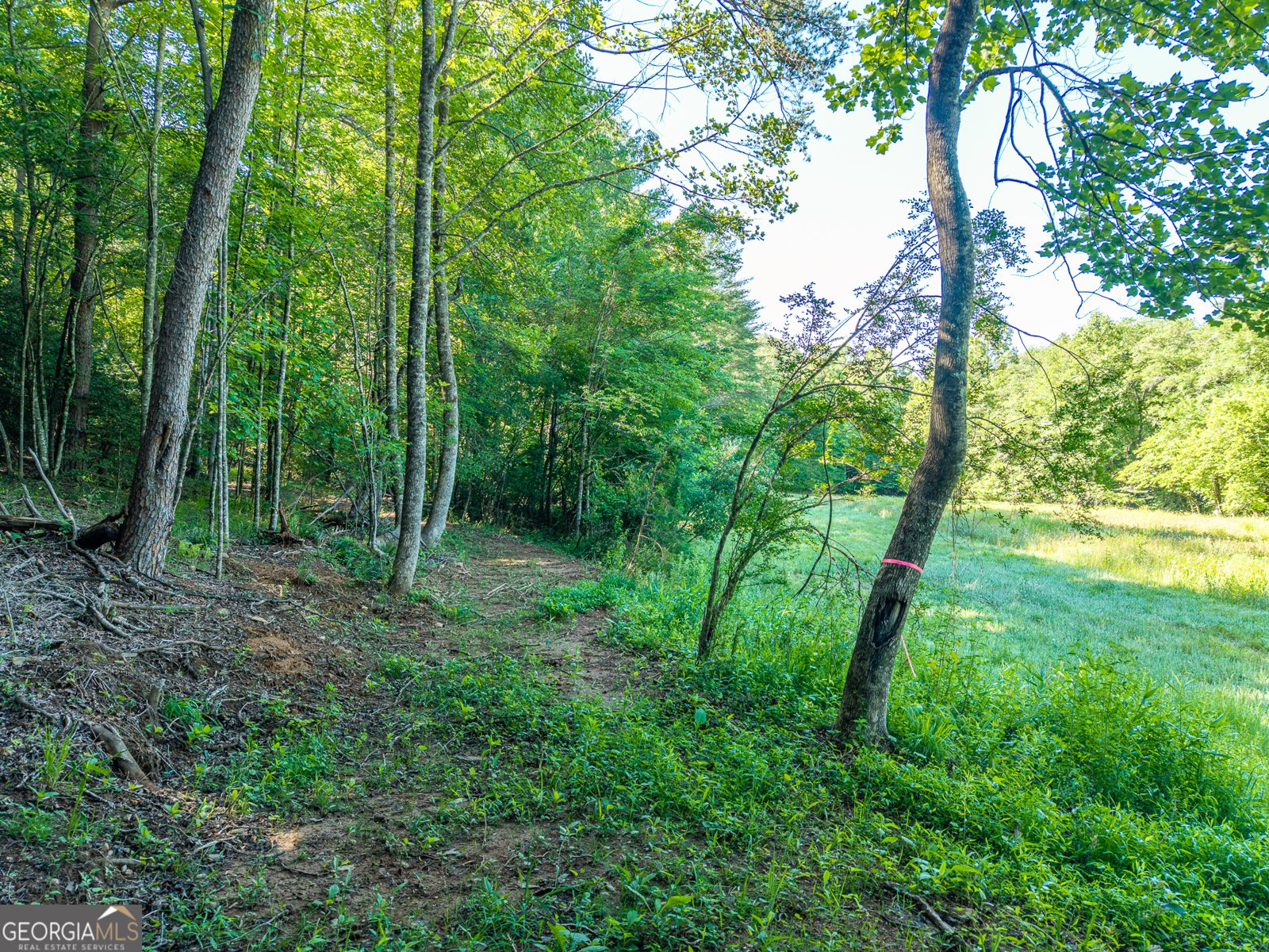 5664 Mobile Road Blue Ridge - Photo 77