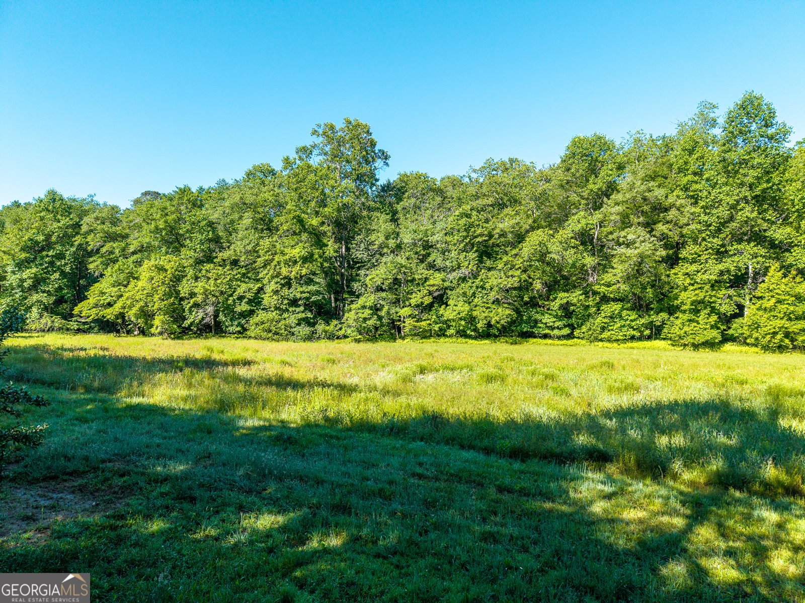 5664 Mobile Road Blue Ridge - Photo 78