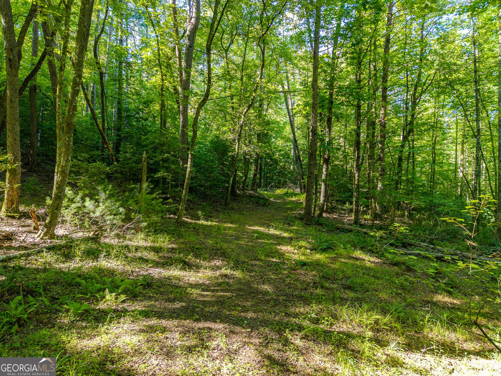 5664 Mobile Road Blue Ridge - Photo 79