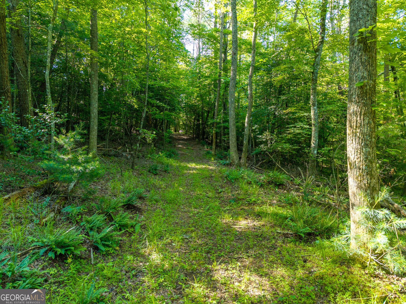 5664 Mobile Road Blue Ridge - Photo 80