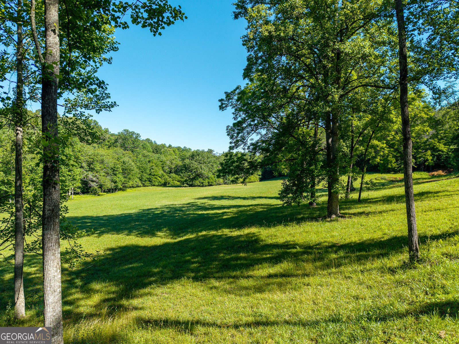 5664 Mobile Road Blue Ridge - Photo 81