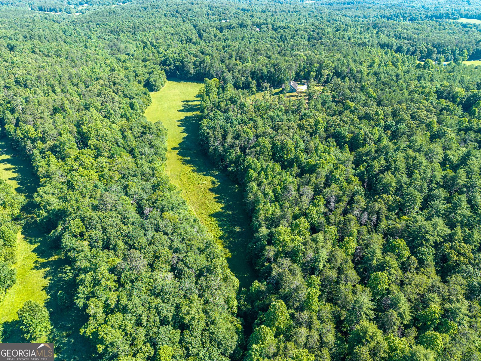 5664 Mobile Road Blue Ridge - Photo 82
