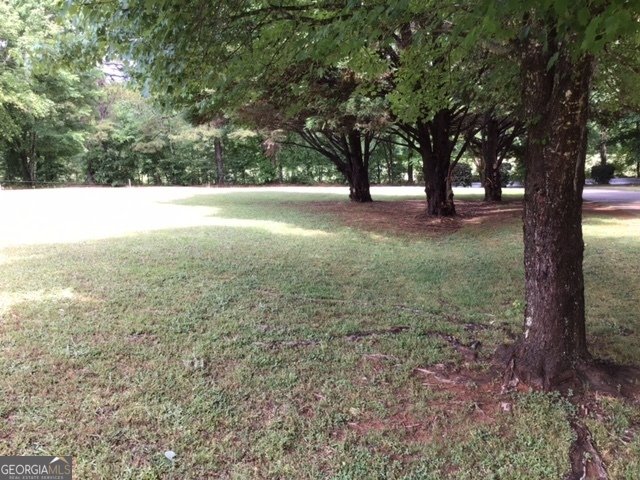 198 Rowan Drive McDonough - Photo 25