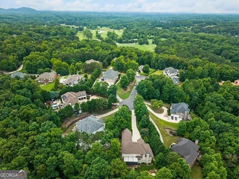 392 Lum Crowe Road Roswell - Photo 108