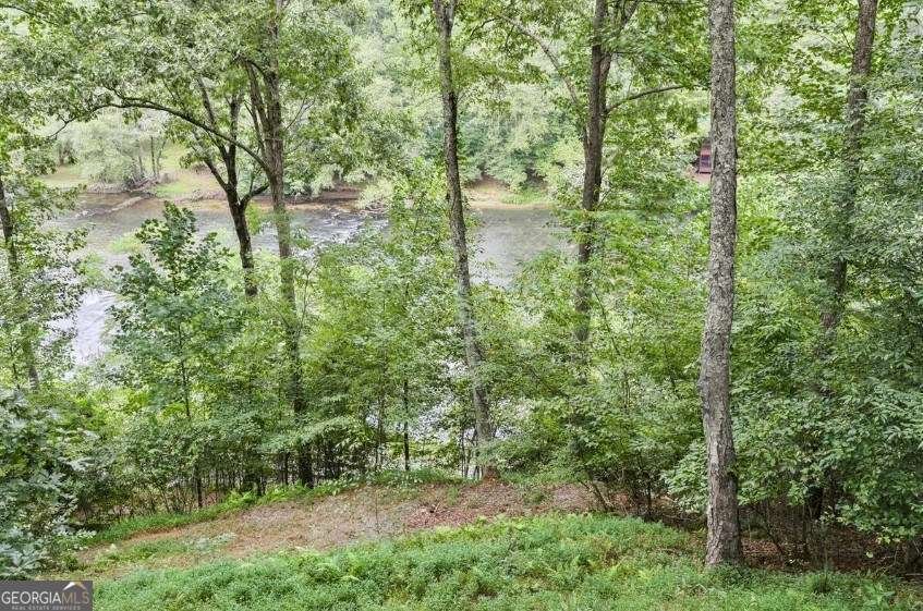 92 Fish Trap Road Mineral Bluff - Photo 31
