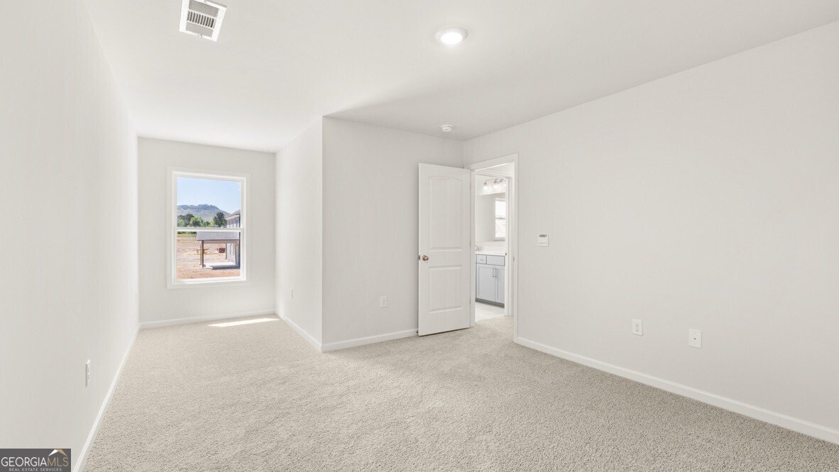 4170 Haven Way Cumming - Photo 29