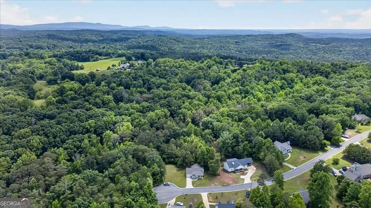 304 Black Knob Falls Drive Ranger - Photo 41