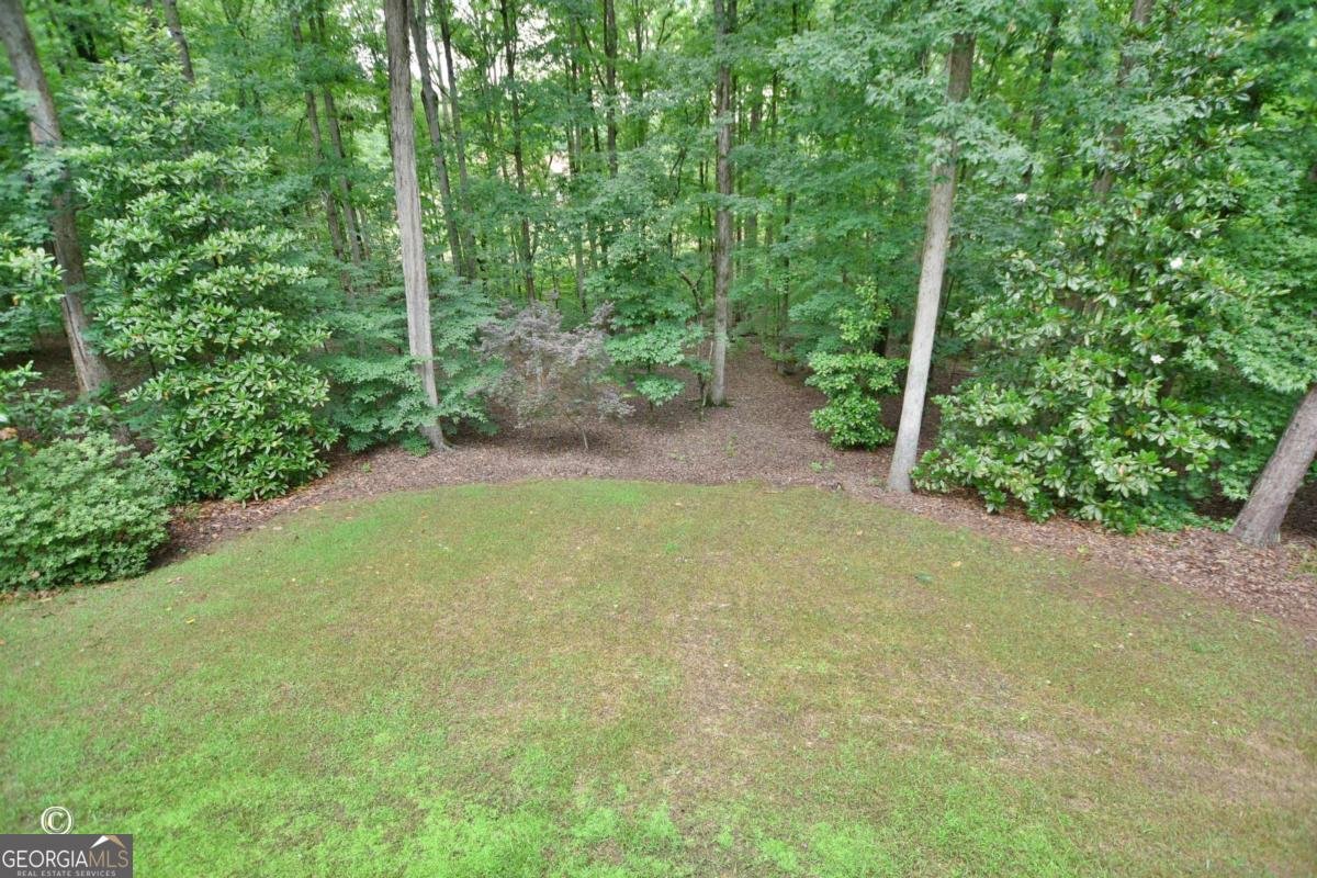 640 Lake Drive Pine Mountain - Photo 44