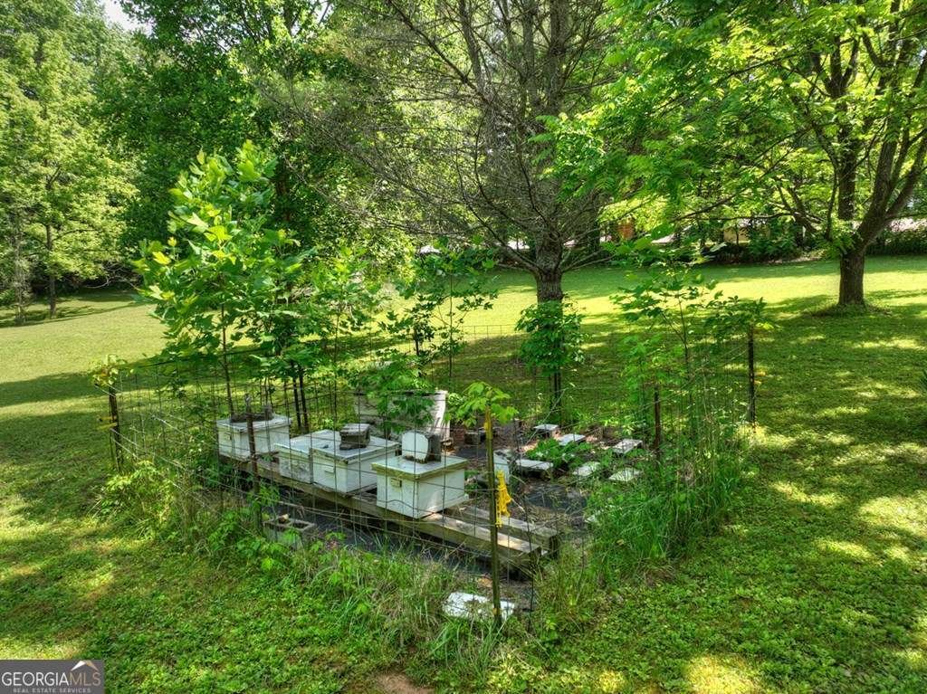93 Collins Nursery Lane Blairsville - Photo 28