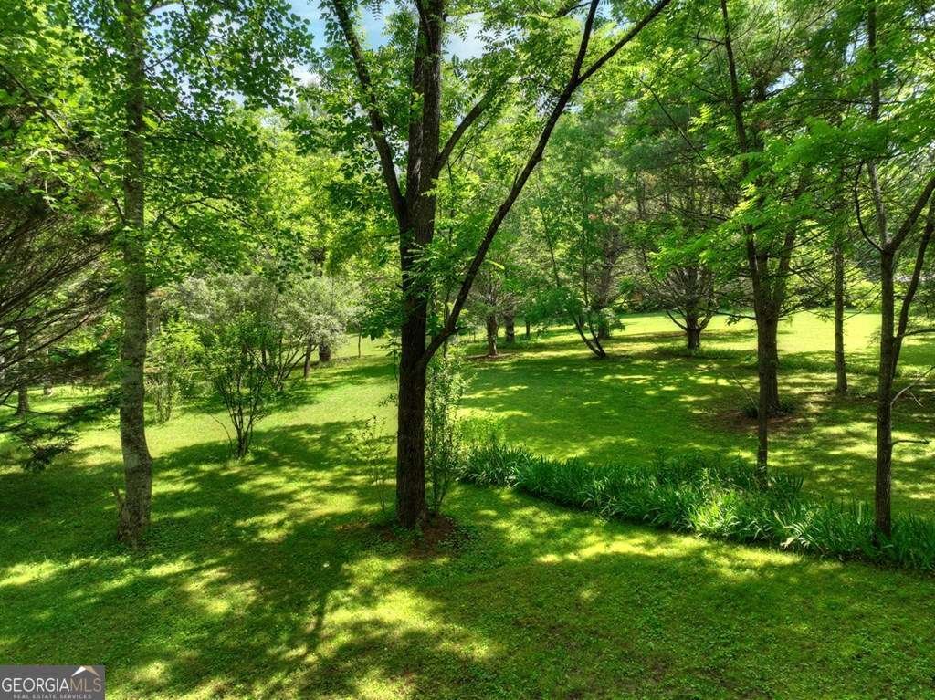 93 Collins Nursery Lane Blairsville - Photo 29