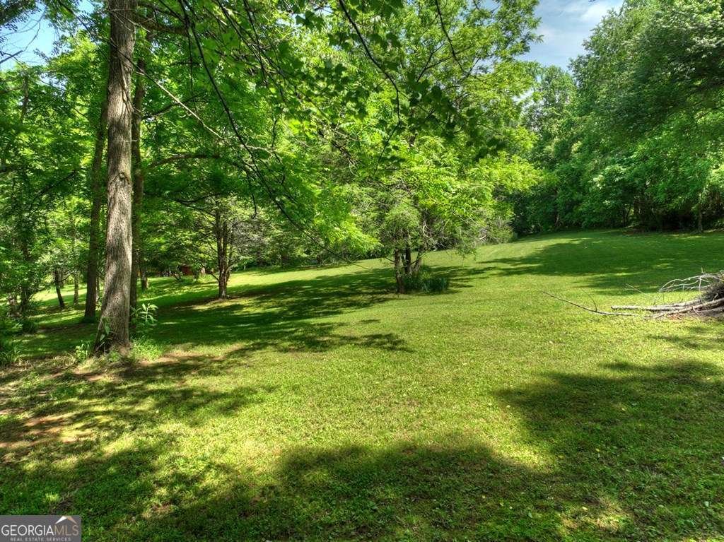 93 Collins Nursery Lane Blairsville - Photo 30