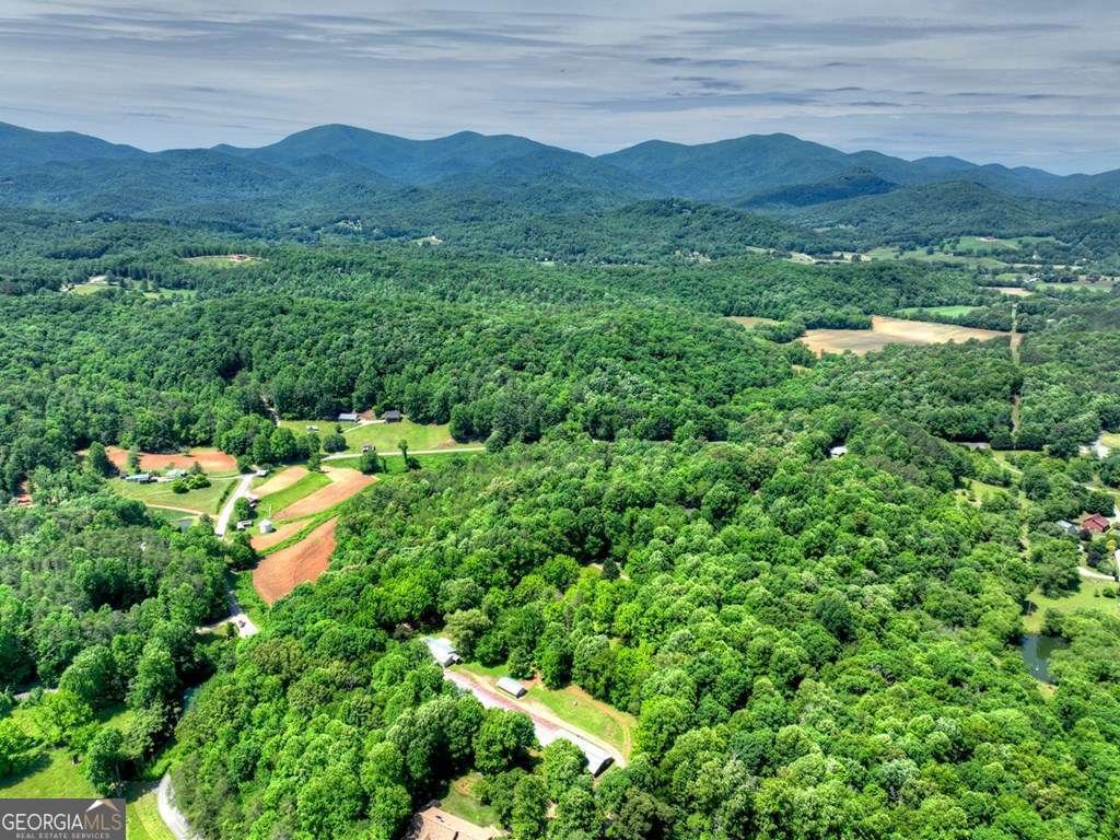 93 Collins Nursery Lane Blairsville - Photo 49