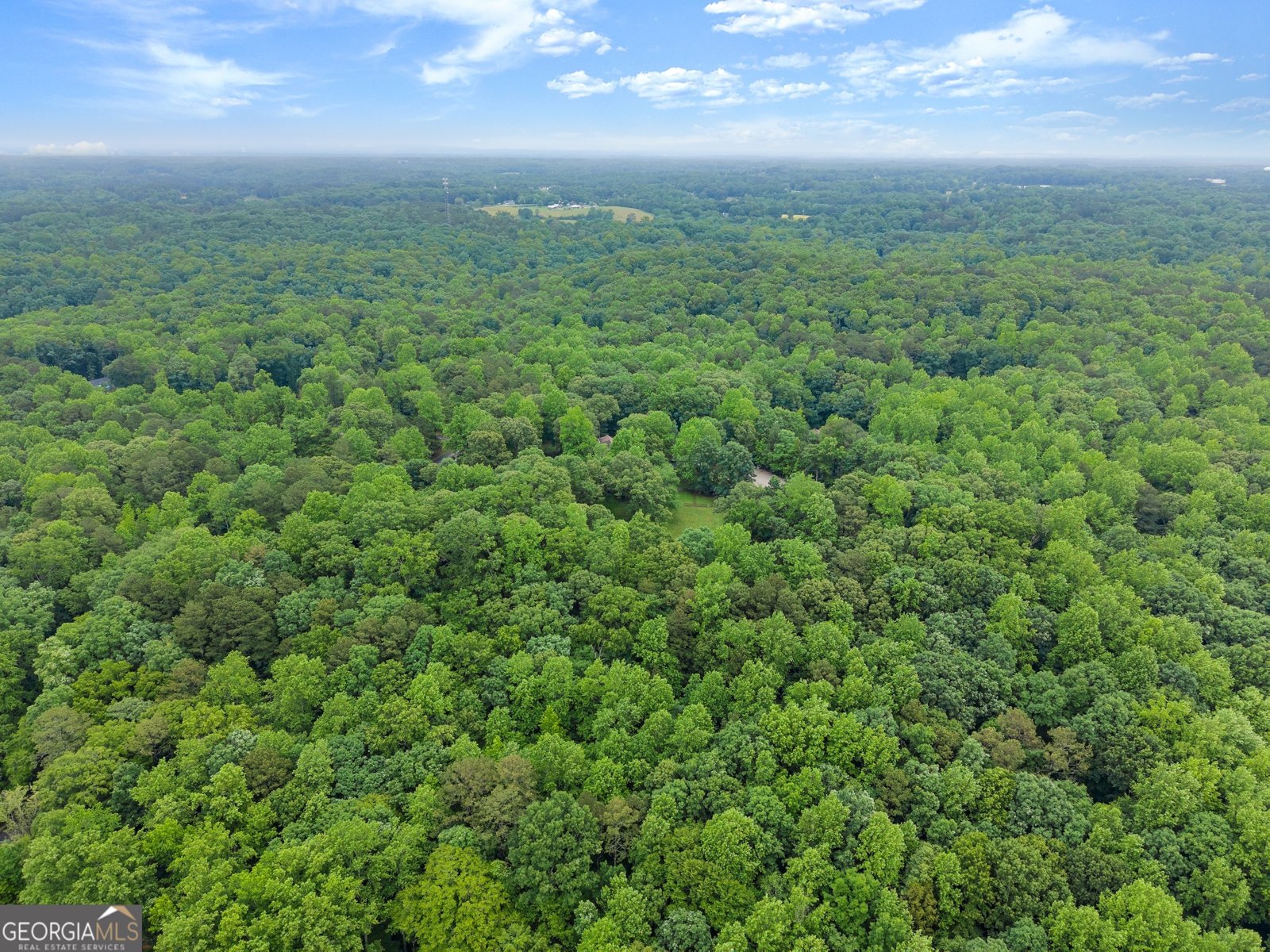 802 Old Mill Trail Ball Ground - Photo 80