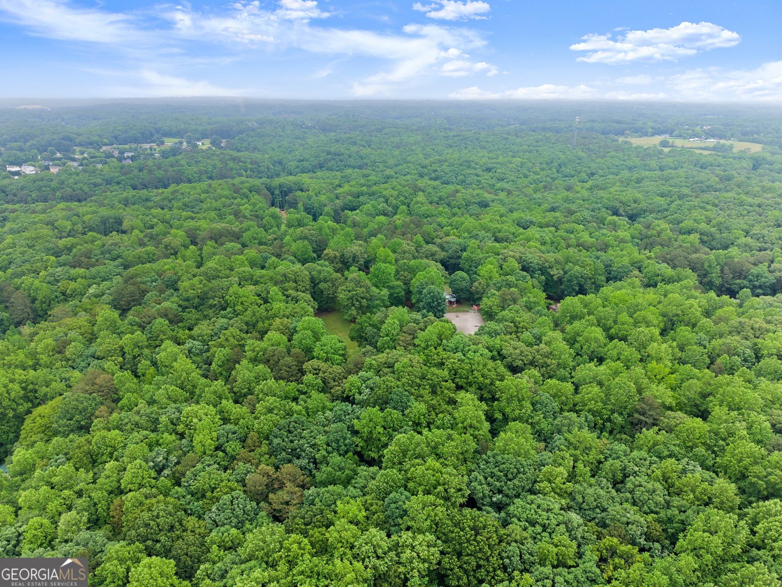 802 Old Mill Trail Ball Ground - Photo 81
