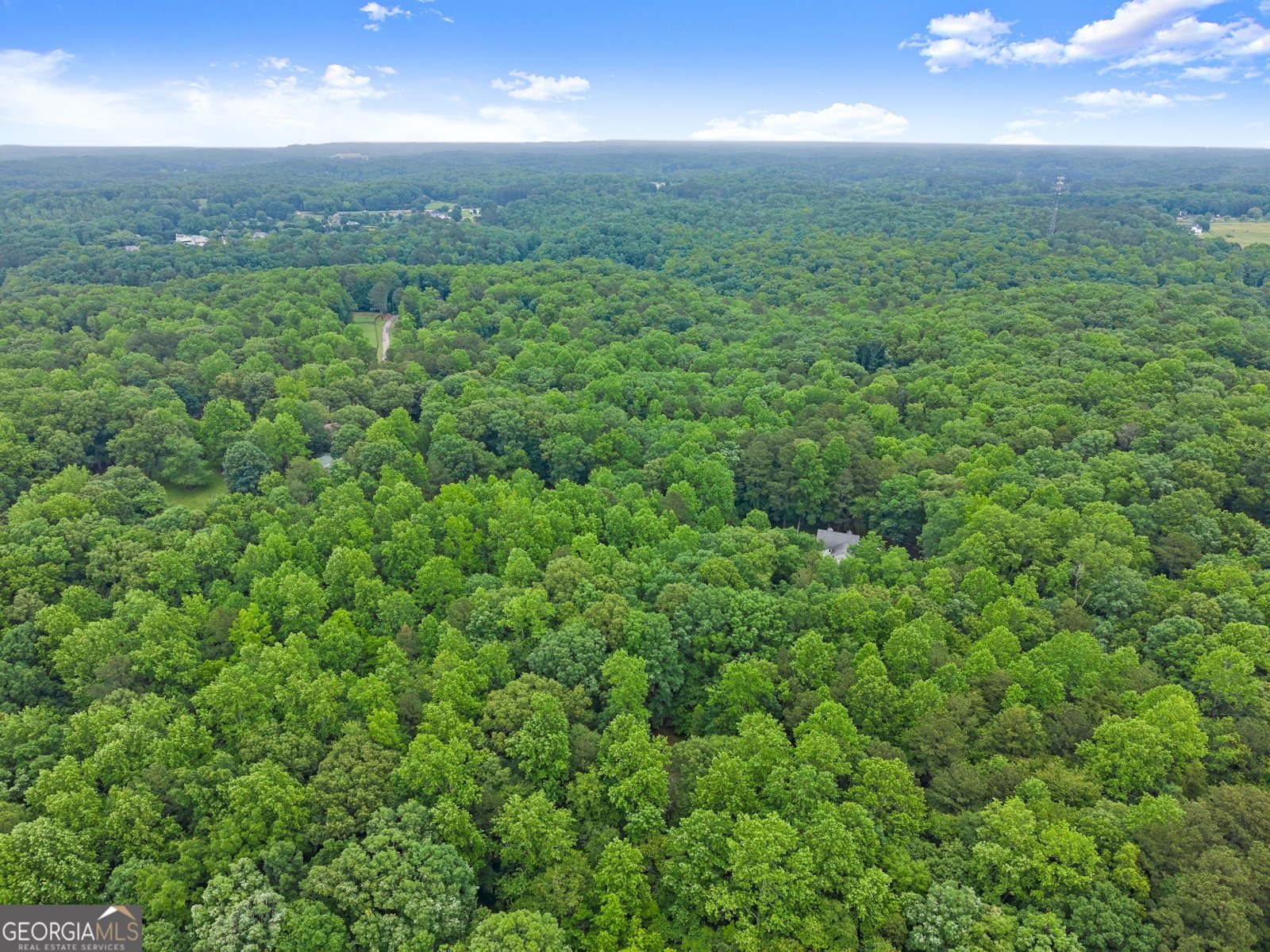 802 Old Mill Trail Ball Ground - Photo 82
