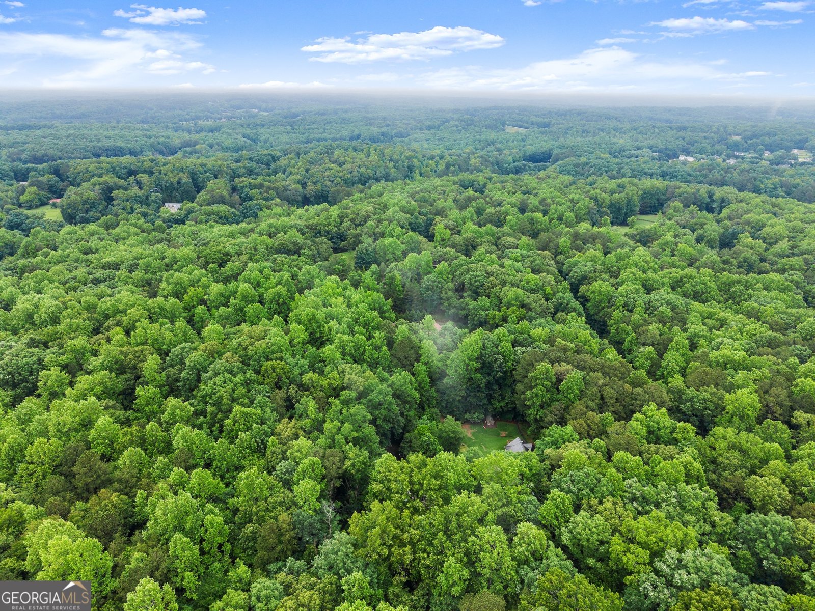 802 Old Mill Trail Ball Ground - Photo 83