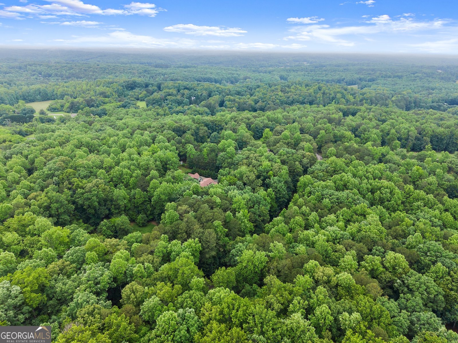 802 Old Mill Trail Ball Ground - Photo 84
