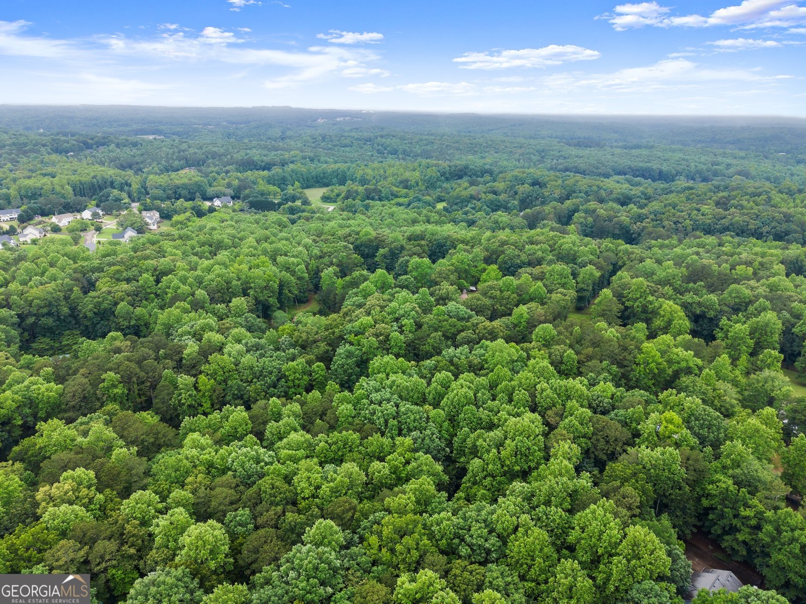 802 Old Mill Trail Ball Ground - Photo 85