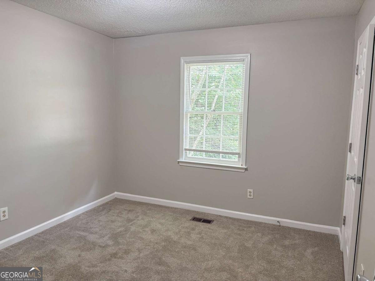 385 Nectarine Drive Newnan - Photo 12