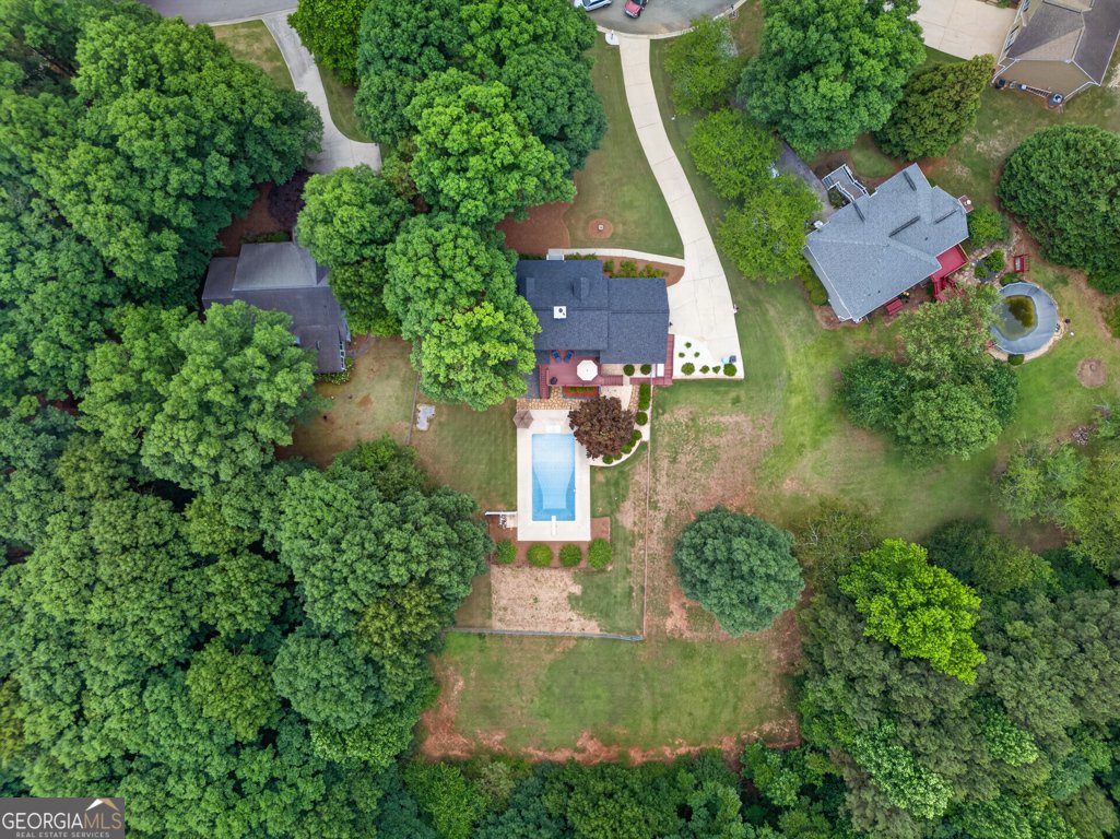 4835 Watson Mill Court Loganville - Photo 8
