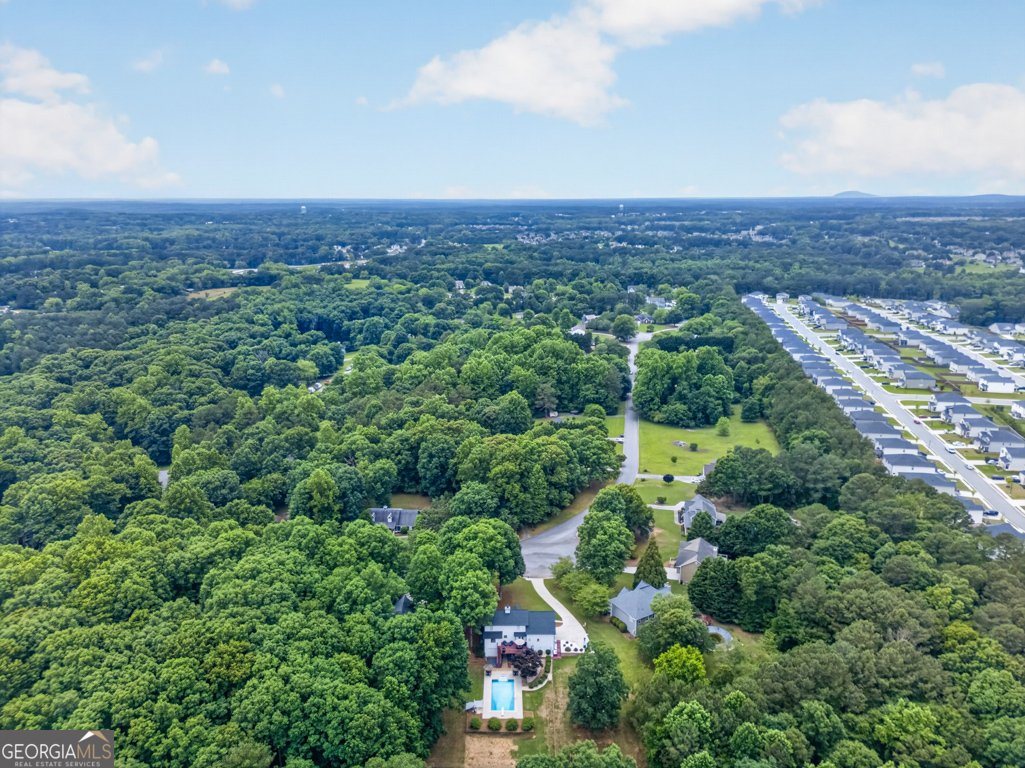 4835 Watson Mill Court Loganville - Photo 9