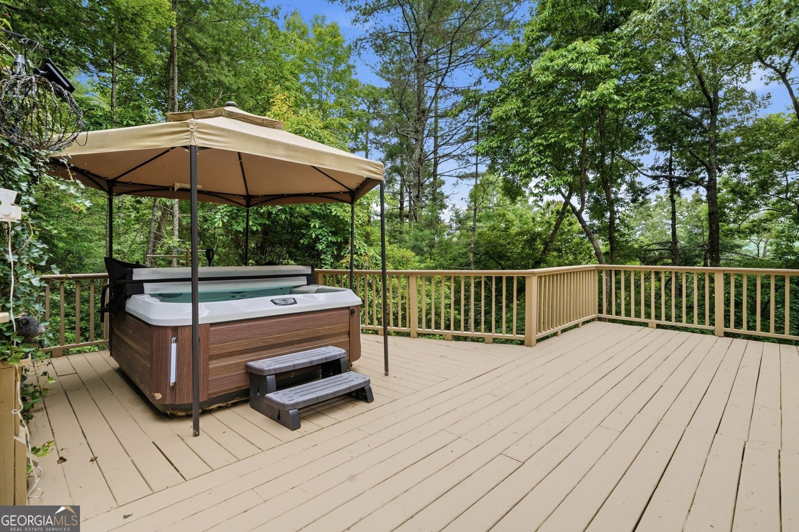 165 Amelia Lane Blue Ridge - Photo 14