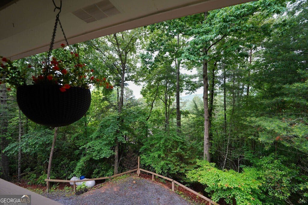 165 Amelia Lane Blue Ridge - Photo 20