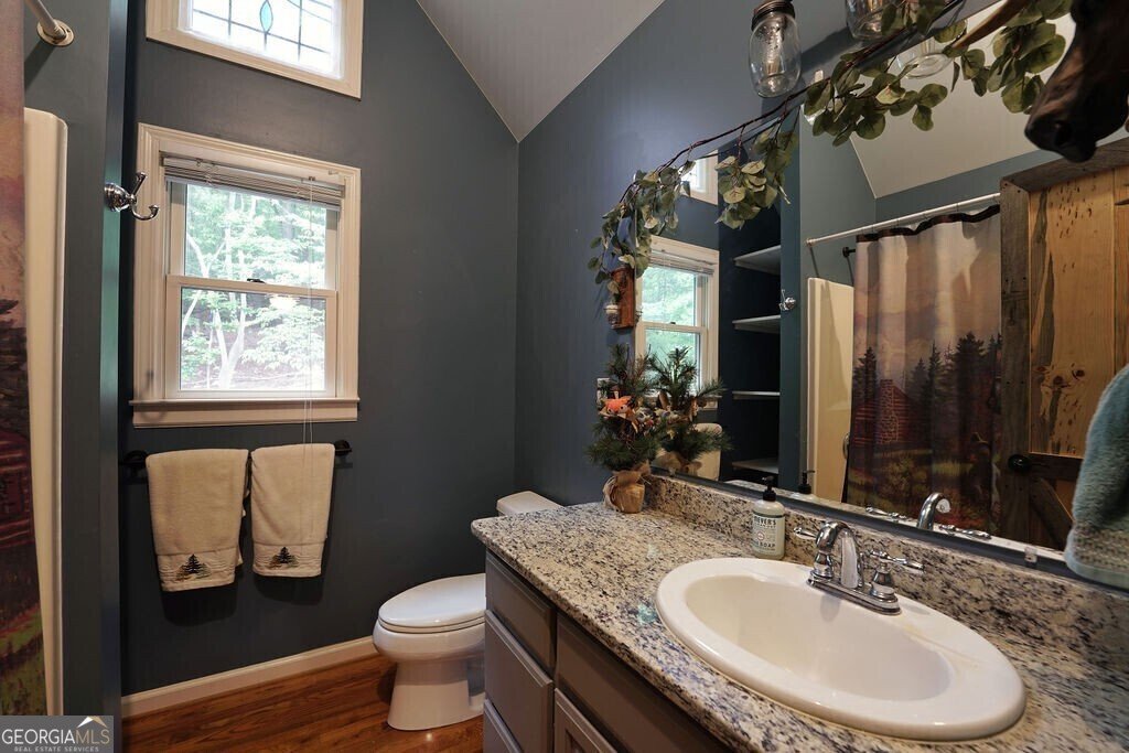 165 Amelia Lane Blue Ridge - Photo 46