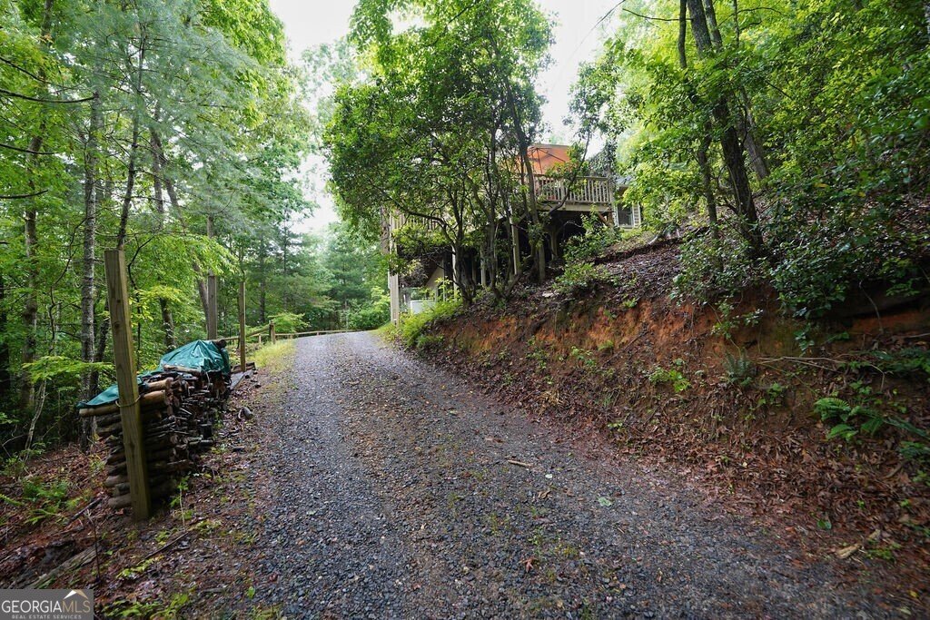 165 Amelia Lane Blue Ridge - Photo 51
