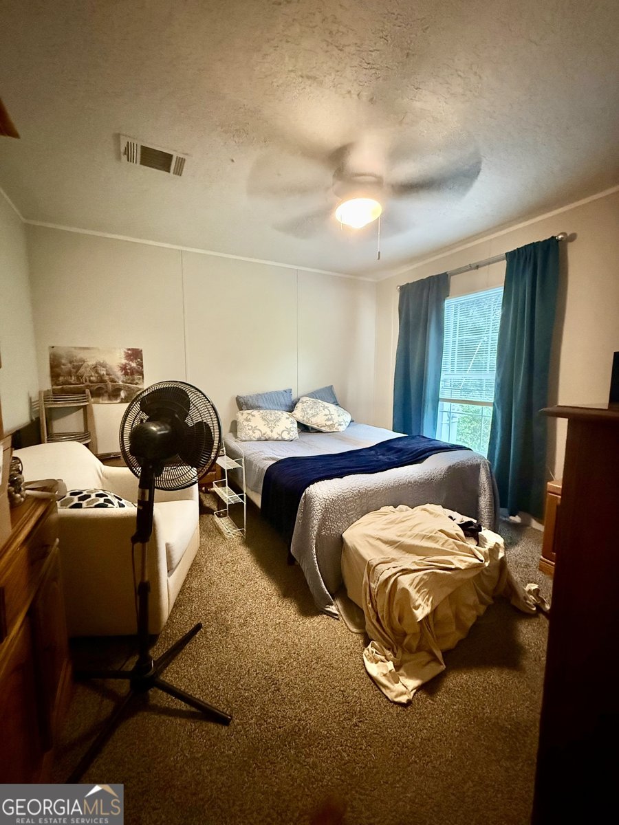 381 Dixon Trail Sparta - Photo 12