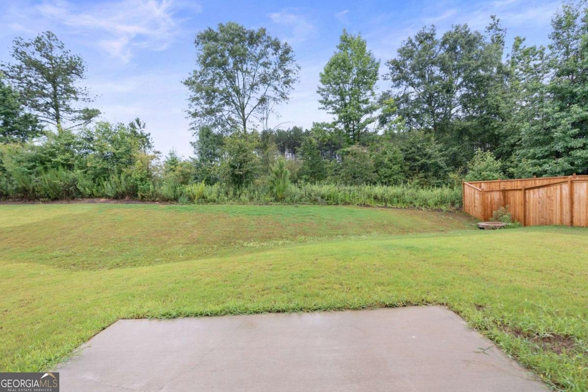 828 Evergreen Road Winder - Photo 21